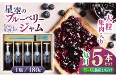 【全6回定期便】星空のブルーベリージャム 5本セット フルーツ くだもの ソース セット 定期 【清和の恵み工房】 [YAA024]