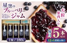 【全12回定期便】星空のブルーベリージャム 5本セット フルーツ くだもの ソース セット 定期 【清和の恵み工房】 [YAA025]