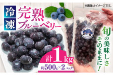 【旬の美味しさそのまま】完熟 冷凍ブルーベリー 計1kg (約500g×2パック) 果物 ブルーベリー フルーツ 小分け 熊本 冷凍 ブルーベリー 大粒 ぶるーべりー 国産【マルク ザ・ガーデン】 [YDI001]