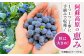 完熟 冷凍ブルーベリー 計1kg (約500g×2パック)