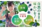 完熟 冷凍ブルーベリー 計1kg (約500g×2パック)