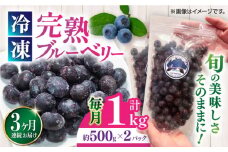 【全3回定期便】完熟 冷凍ブルーベリー 計1kg (約500g×2パック) 果物 ブルーベリー フルーツ 小分け 熊本 冷凍 ブルーベリー 大粒 ぶるーべりー 国産 定期 定期便【マルク ザ・ガーデン】 [YDI002]
