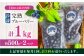 【全3回定期便】完熟 冷凍ブルーベリー 計1kg (約500g×2パック)
