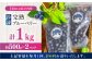 【全6回定期便】旬の美味しさそのまま！完熟 冷凍ブルーベリー 計1kg (約500g×2パック)