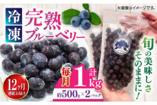 【全12回定期便】旬の美味しさそのまま！完熟 冷凍ブルーベリー 計1kg (約500g×2パック) 果物 ブルーベリー フルーツ 小分け 熊本 冷凍 ブルーベリー 大粒 ぶるーべりー 国産【マルク ザ・ガーデン】 [YDI004]