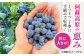 【全12回定期便】旬の美味しさそのまま！完熟 冷凍ブルーベリー 計1kg (約500g×2パック)