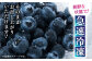 【全12回定期便】旬の美味しさそのまま！完熟 冷凍ブルーベリー 計1kg (約500g×2パック)