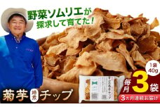 【全3回定期便】【数量限定】菊芋 焙煎 チップ 120g (40g×3パック)【グリーンファーム矢部】 [YDC008]