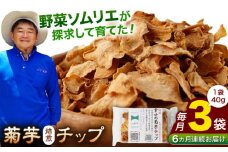 【全6回定期便】【数量限定】菊芋 焙煎 チップ 120g (40g×3パック)【グリーンファーム矢部】 [YDC009]