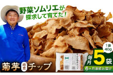 【全6回定期便】【数量限定】菊芋 焙煎 チップ 200g (40g×5パック)【グリーンファーム矢部】 [YDC012]