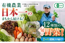 【全2回定期便】四季を味わう野菜セット【株式会社 肥後やまと】 [YAF019]