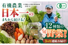 【全3回定期便】四季を味わう野菜セット 旬の野菜 有機栽培 オーガニック 山都町【株式会社 肥後やまと】 [YAF020]