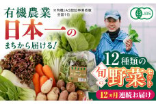 【全12回定期便】四季を味わう野菜セット 旬の野菜 有機栽培 オーガニック 山都町【株式会社 肥後やまと】 [YAF022]