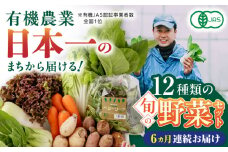 【全6回定期便】四季を味わう野菜セット 旬の野菜 有機栽培 オーガニック 山都町【株式会社 肥後やまと】 [YAF021]