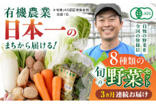 【全3回定期便】オーガニック 野菜 セット 8種 旬の野菜 有機栽培 オーガニック 山都町【株式会社 肥後やまと】 [YAF028]