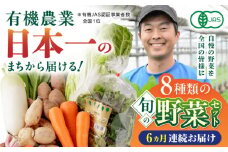 【全6回定期便】オーガニック 野菜 セット 8種 旬の野菜 有機栽培 オーガニック 山都町【株式会社 肥後やまと】 [YAF029]