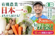 【全12回定期便】オーガニック 野菜 セット 8種 旬の野菜 有機栽培 オーガニック 山都町【株式会社 肥後やまと】 [YAF030]