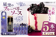 【贈答用】星空の ブルーベリーソース 5本セット 180ｇ×5 フルーツ ソース ギフト ブルーベリー【清和の恵み工房】 [YAA021]