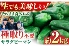いちょうの畑 サラダピーマン 約2kg 野菜 ピーマン サラダ ぴーまん 生野菜 【農事組合法人いちょう】 [YDN011]