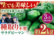 【全3回定期便】いちょうの畑 サラダピーマン 約2kg 【農事組合法人いちょう】 [YDN014]