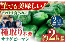 【全2回定期便】いちょうの畑 サラダピーマン 約2kg 【農事組合法人いちょう】 [YDN013]