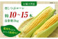 とうもろこし 葉付きスイートコーン とうもろこし ほしつぶコーン 熊本県産 夏野菜