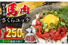【全3回定期便】 馬肉さくらユッケ 250g ( 50g × 5 ) 【五右衛門フーズ】 [YBZ032]