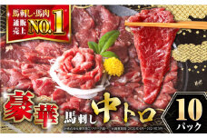 【熊本肥育】熊本ならでは！霜降り馬刺しをたっぷり楽しむセット 計500g 【株式会社 利他フーズ】 [YBX040]