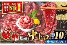 【全6回定期便】【熊本肥育】熊本ならでは！霜降り馬刺しをたっぷり楽しむセット 500g 【株式会社 利他フーズ】 [YBX042]