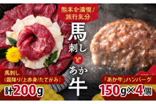 熊本旅行気分！ 馬刺しとあか牛ハンバーグセット【株式会社 利他フーズ】 [YBX043]