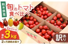 【全2回定期便】【訳あり】【期間限定】熊本県産 減農薬栽培 トマト ミディトマト 3.0kg 詰め合わせ 食べ比べ【矢仁田農園】 [YDE009]