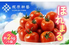 甘みと酸味の絶妙なバランス！ミニトマト「ほれまる」 約2kg  野菜 トマト ミディトマト プチトマト とまと 九州【梶原耕藝】 [YDQ001]