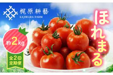 【全2回定期便】甘みと酸味の絶妙なバランス！ミニトマト「ほれまる」約2kg【梶原耕藝】 [YDQ002]