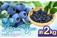 【先行予約】【8月より順次発送】【加工用】冷凍ブルーベリー 2kg【「のん気・元気」百姓家】 [YAL027]