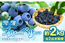 【先行予約】【8月より順次発送】【全2回定期便】【加工用】冷凍ブルーベリー 2kg【「のん気・元気」百姓家】 [YAL028]