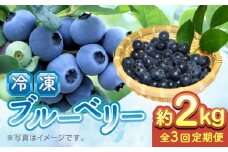 【先行予約】【8月より順次発送】【全3回定期便】【加工用】冷凍ブルーベリー 2kg【「のん気・元気」百姓家】 [YAL029]