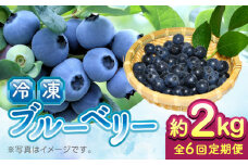【先行予約】【8月より順次発送】【全6回定期便】【加工用】冷凍ブルーベリー 2kg【「のん気・元気」百姓家】 [YAL030]
