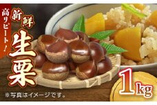 【先行予約】【9月より順次発送】新鮮　生栗 1kg【「のん気・元気」百姓家】 [YAL019]