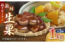 【先行予約】【9月より順次発送】【全2回定期便】新鮮 生栗 1kg【「のん気・元気」百姓家】 [YAL020]