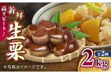 【先行予約】【9月より順次発送】【全2回定期便】新鮮　生栗 2kg【「のん気・元気」百姓家】 [YAL024]