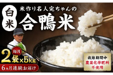 【全6回定期便】令和6年産 米作り名人完ちゃんの合鴨米 白米 10kg 栽培期間中農薬化学肥料不使用 [YCT008]