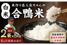 【先行予約】【11月より順次発送】【全6回定期便】令和7年産 米作り名人完ちゃんの合鴨米 白米 10kg 栽培期間中農薬化学肥料不使用 [YCT008]