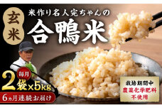 【全6回定期便】令和6年産 米作り名人完ちゃんの合鴨米 玄米 10kg 栽培期間中農薬化学肥料不使用 [YCT010]