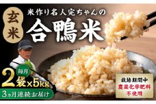 【全3回定期便】令和6年産 米作り名人完ちゃんの合鴨米 玄米 10kg 栽培期間中農薬化学肥料不使用 [YCT009]