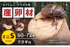 オリジナルミニ産卵材 Ｓサイズ (3段入り) カブトムシ クワガタ クヌギB材 【ふるさと昆虫】 [YDV001]