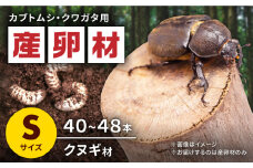 オリジナル産卵材 Ｓサイズ カブトムシ クワガタ クヌギB材 【ふるさと昆虫】 [YDV002]
