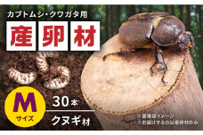オリジナル産卵材 Mサイズ カブトムシ クワガタ クヌギB材 【ふるさと昆虫】 [YDV003]