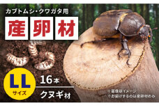オリジナル産卵材 LLサイズ カブトムシ クワガタ クヌギB材 【ふるさと昆虫】 [YDV005]