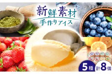 アイスセット 山都町産 ブルーベリー いちご ゆず お茶 バニラ 手作り 8個セット　【MILKY-WAY】 [YDT003]