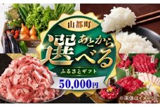 【あとから選べる】山都町ふるさとギフト 5万円分 米 牛肉 有機野菜 あか牛 馬刺し 定期便 山都 [YZX001]